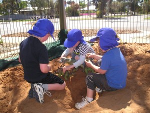 dinosaurs in the digging patch